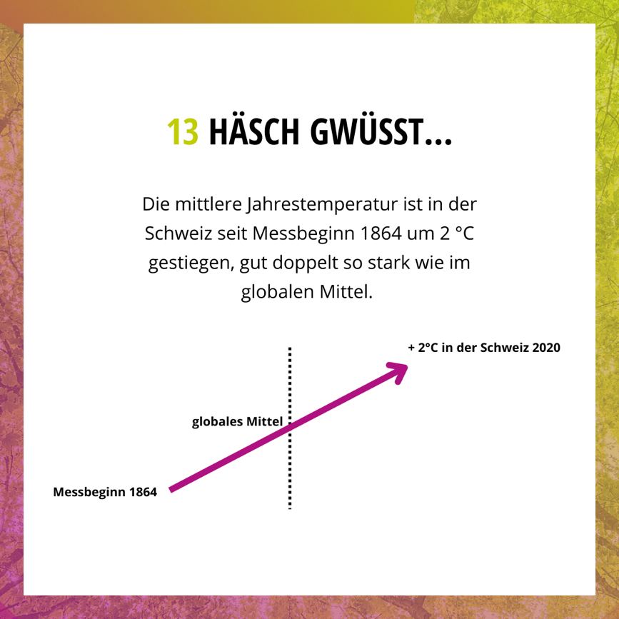 sdg13